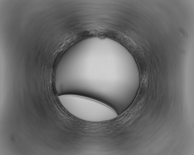 X0000113351012200909151022
