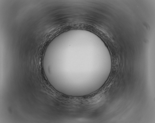 X0000113351013200909151022