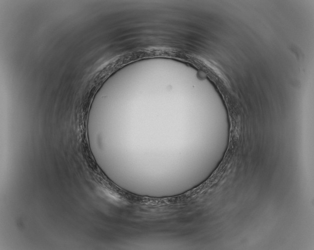X0000113351015200909151022