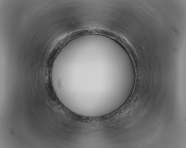 X0000113351016200909151022