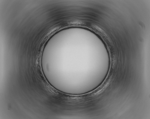 X0000113351017200909151022
