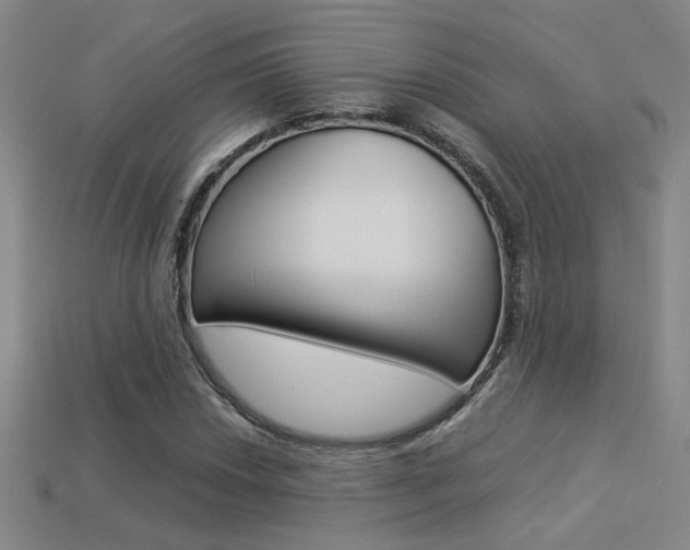 X0000113351018200909151022