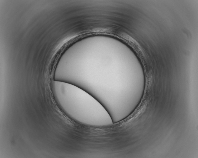 X0000113351019200909151022