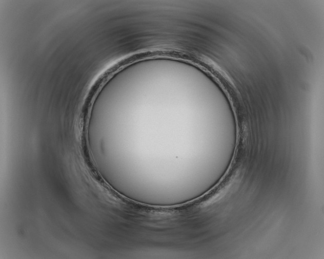 X0000113351021200909151022