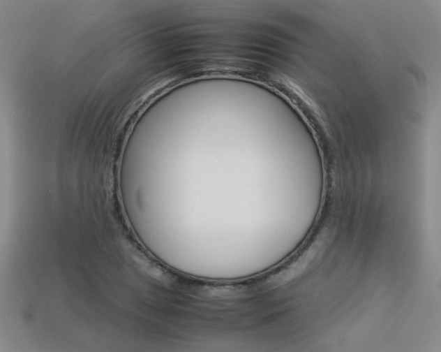 X0000113351025200909151022