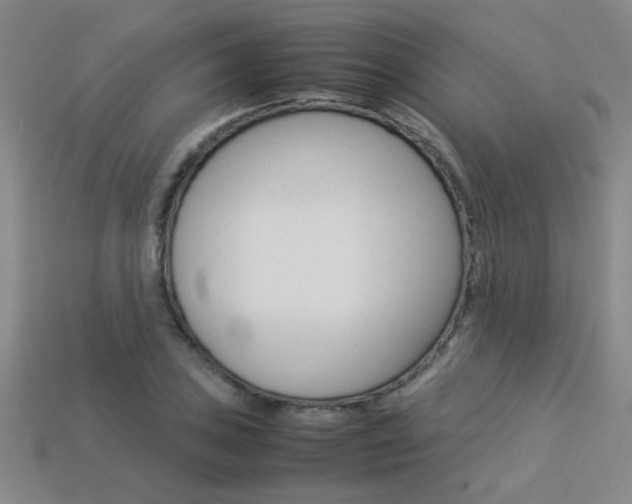 X0000113351027200909151022
