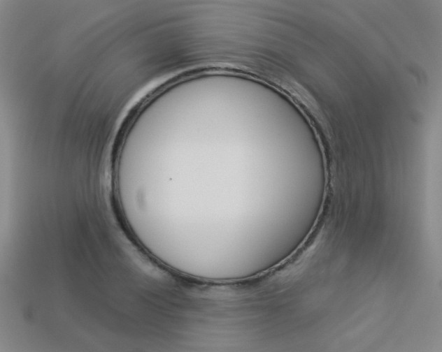 X0000113351028200909151022