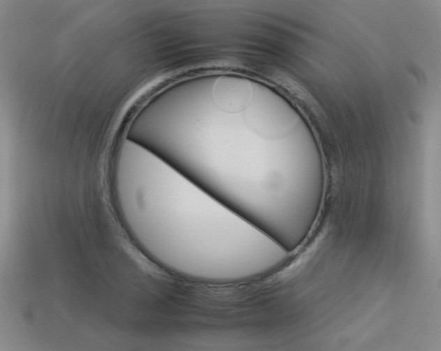 X0000113351029200909151022