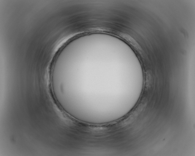 X0000113351031200909151022