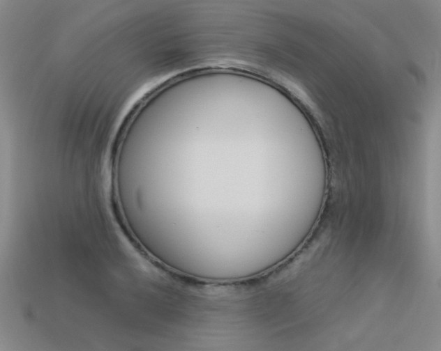 X0000113351032200909151022