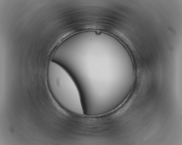 X0000113351033200909151022