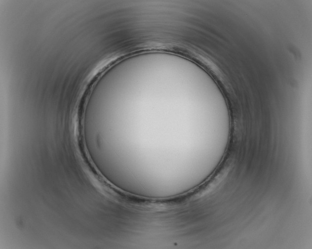 X0000113351034200909151022