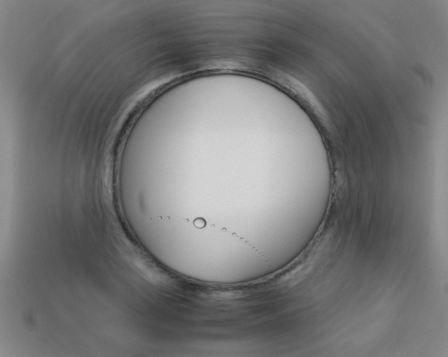 X0000113351035200909151022