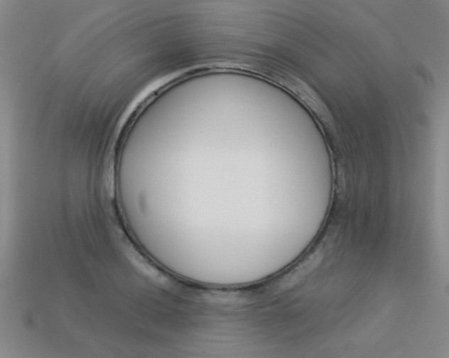 X0000113351036200909151022