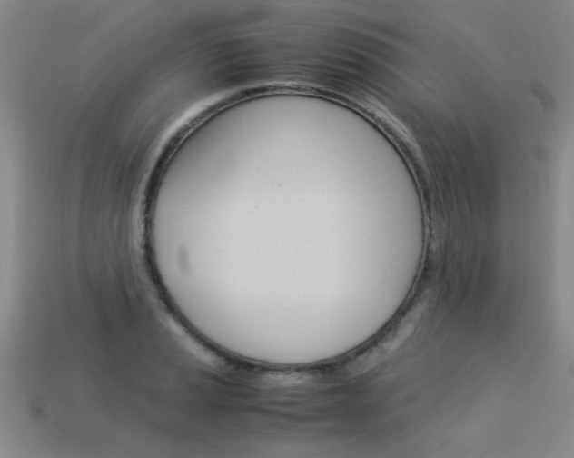 X0000113351037200909151022