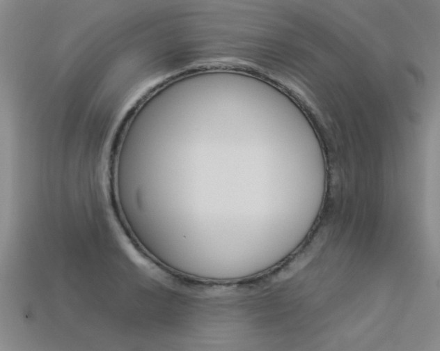 X0000113351038200909151022