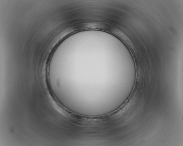 X0000113351039200909151022