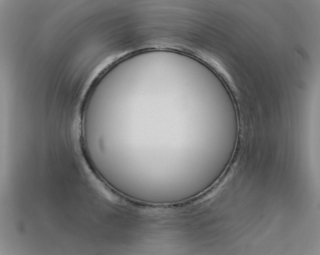 X0000113351040200909151022