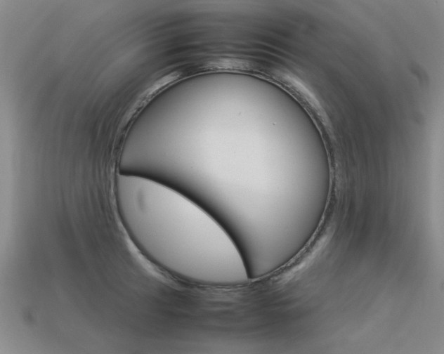 X0000113351041200909151022