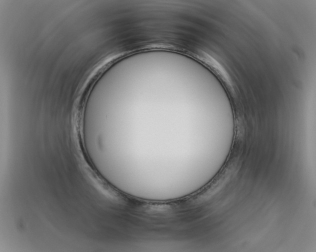 X0000113351043200909151022