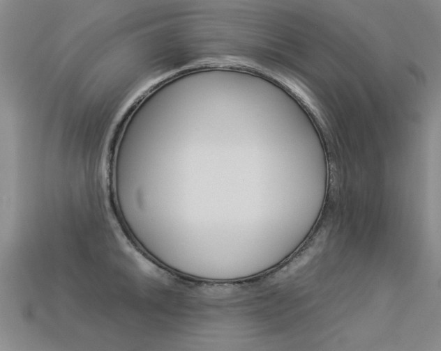 X0000113351046200909151022