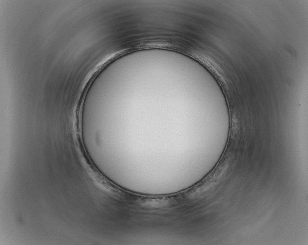 X0000113351047200909151022