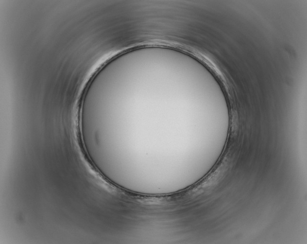 X0000113351048200909151022