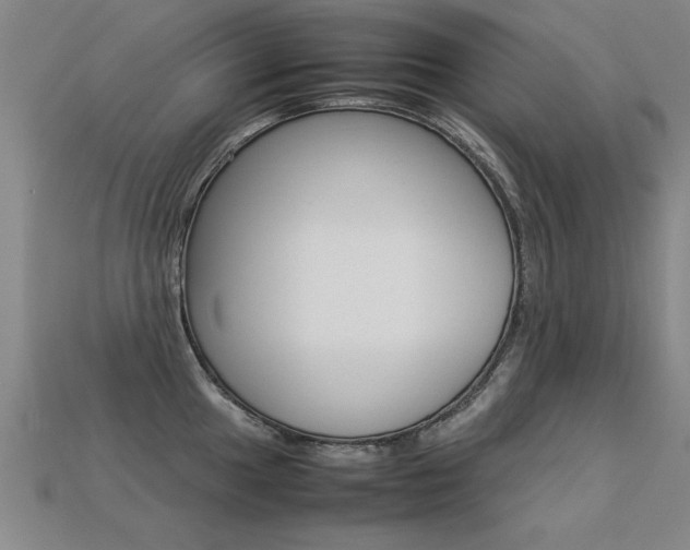 X0000113351049200909151022