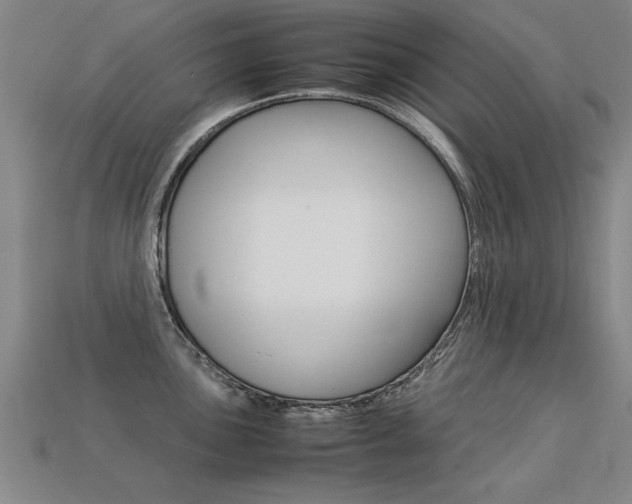 X0000113351051200909151022