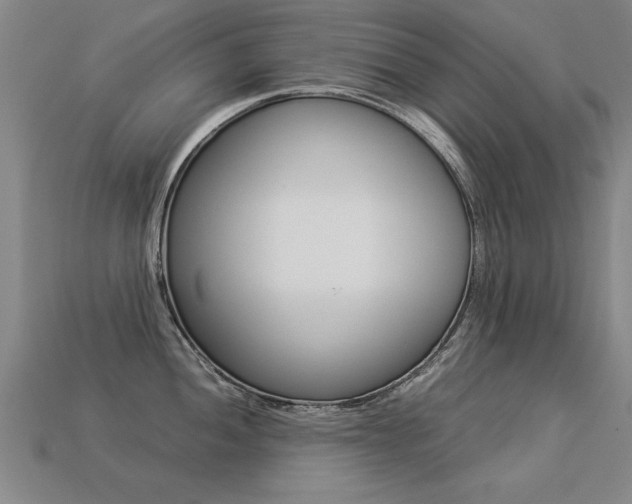 X0000113351052200909151022