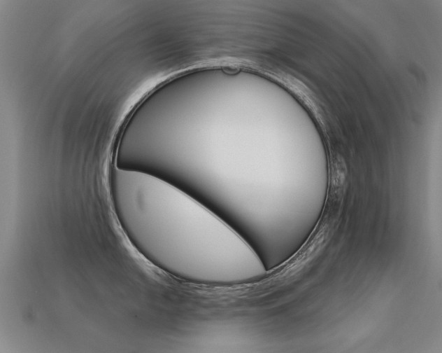 X0000113351054200909151022
