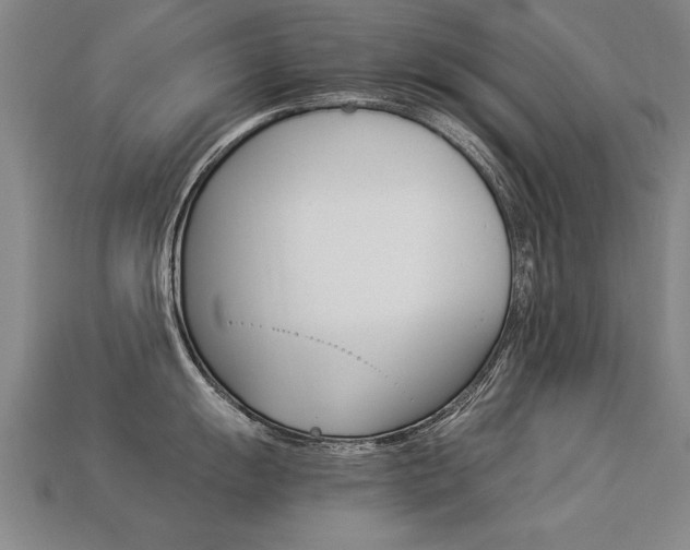 X0000113351055200909151022