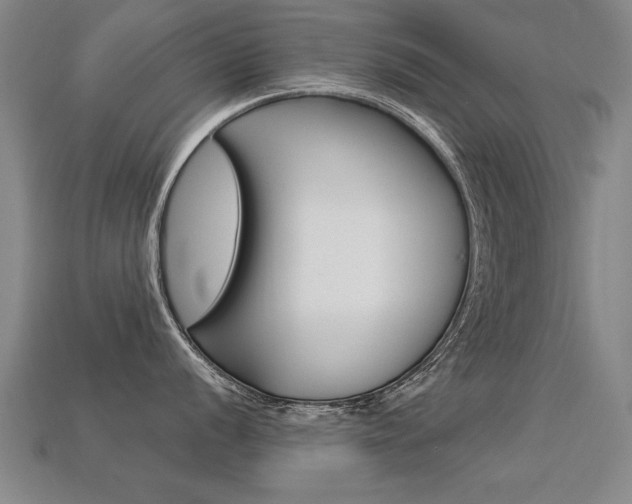 X0000113351056200909151022
