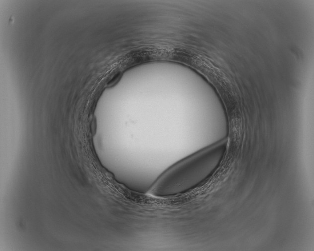 X0000113351057200909151022