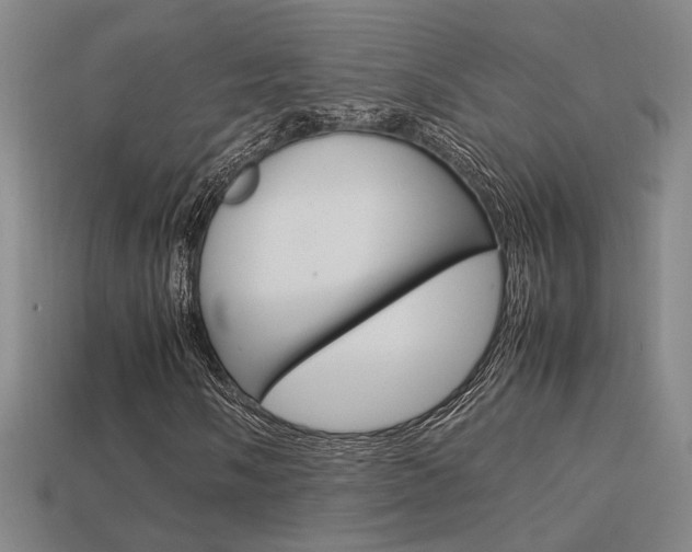 X0000113351058200909151022