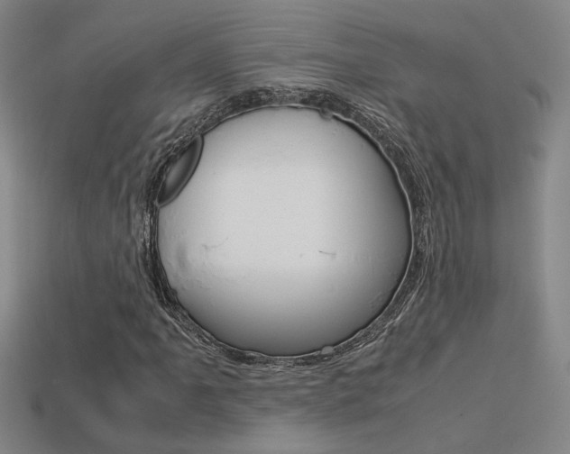 X0000113351061200909151022
