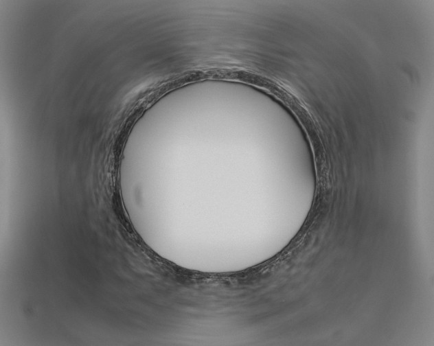X0000113351063200909151022