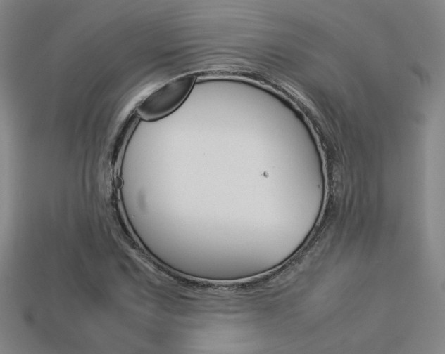 X0000113351067200909151021