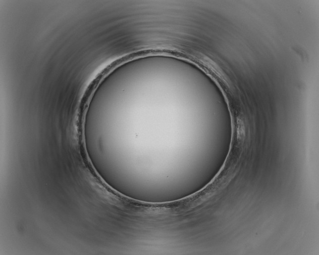X0000113351068200909151021