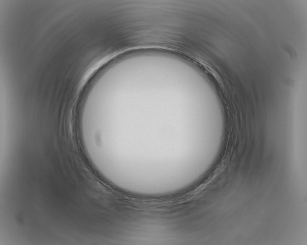 X0000113351069200909151021