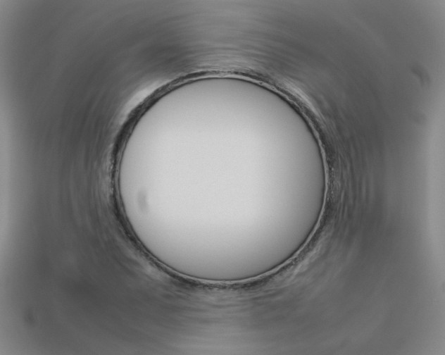X0000113351071200909151021