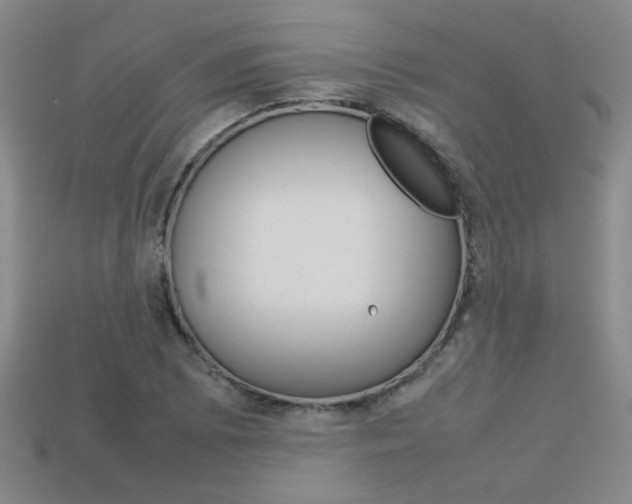 X0000113351073200909151021