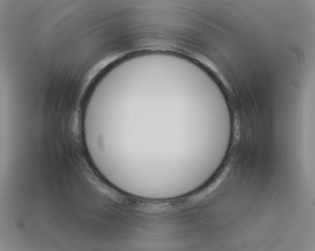 X0000113351074200909151021