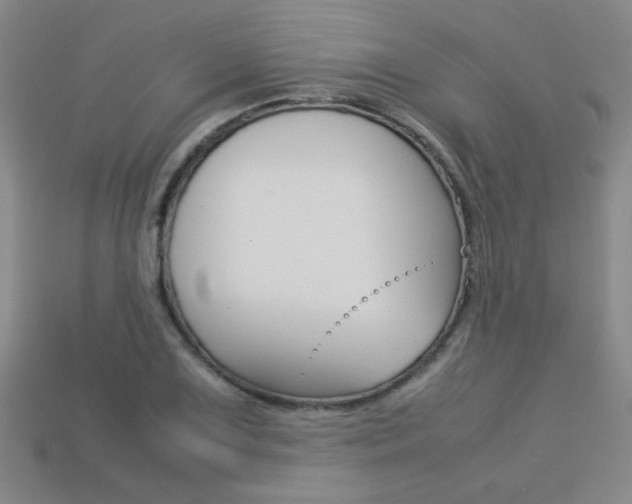 X0000113351075200909151021