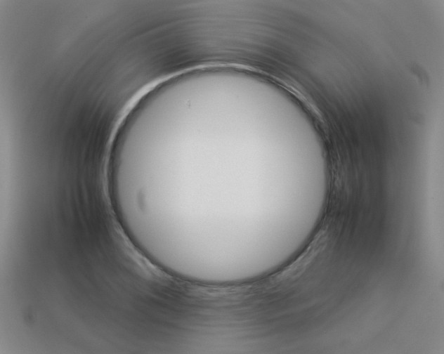 X0000113351076200909151021