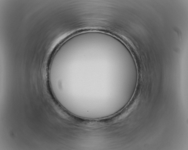 X0000113351077200909151021