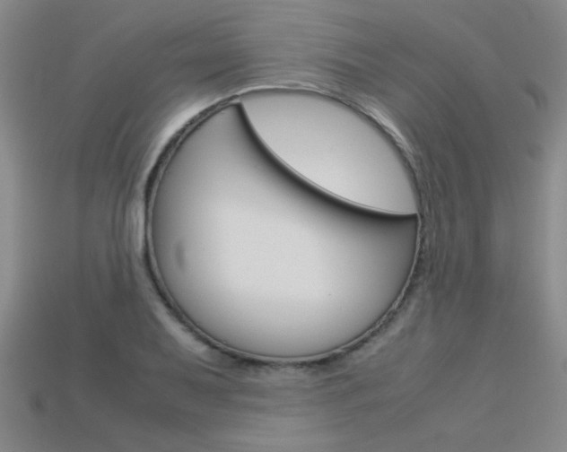 X0000113351079200909151021