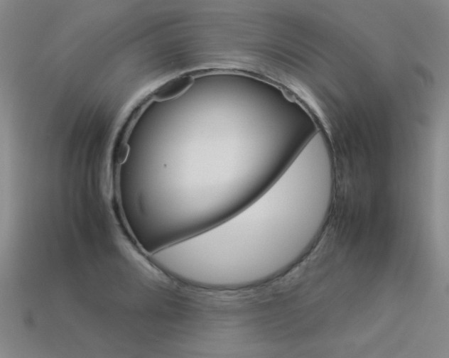 X0000113351080200909151021