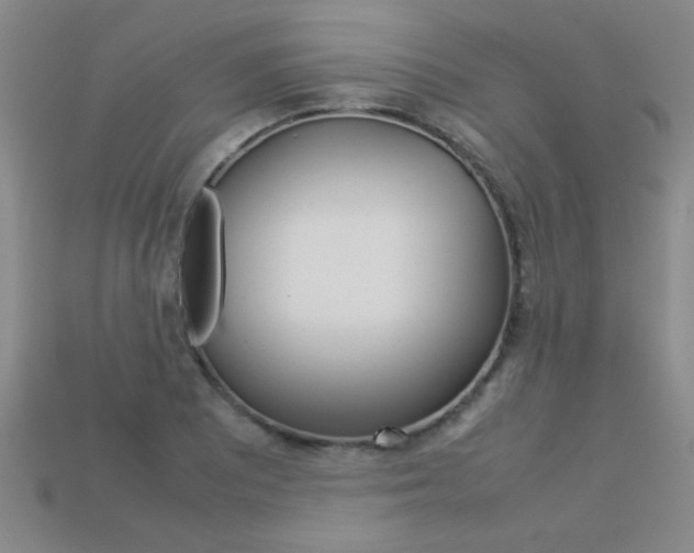 X0000113351081200909151021