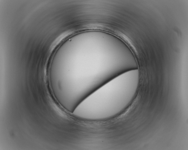 X0000113351082200909151021